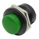 شستی-گل-پلاستیکی-بزرگ-سبز-مدل-r13-507 (1)